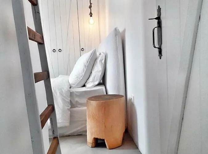 Arion فيلة باتسي